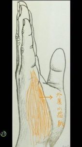 高雄身心科診所文章